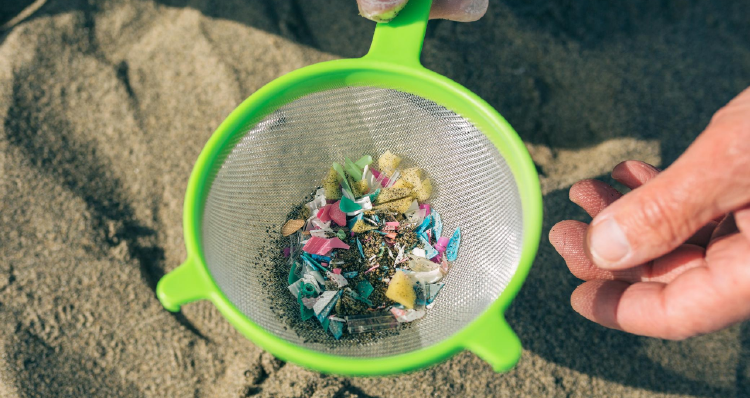 Piden al Senado que se sancione la ley que prohíbe microplásticos en cosméticos1 Piden al Senado que se sancione la ley que prohíbe microplásticos en cosméticos1