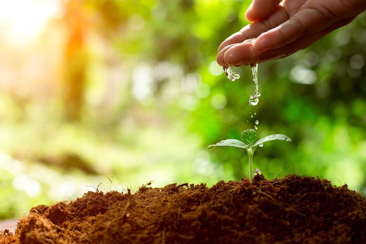 Jardinería 2 Jardinería