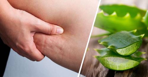 una crema efectiva contra la celulitis ingredientes naturales una crema efectiva contra la celulitis ingredientes naturales