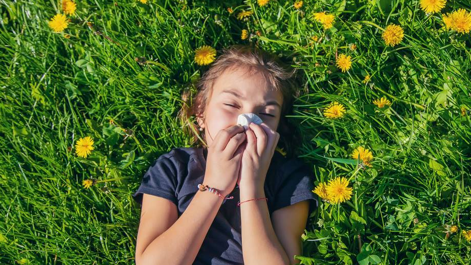 Alergias biodescodificación Alergias biodescodificación