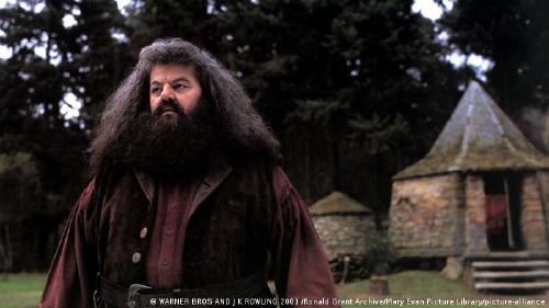 63447900_303 63447900_303