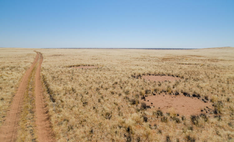 circulos hadas AdobeStock_175474537 circulos hadas AdobeStock_175474537