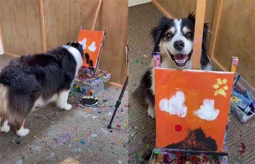 perrita pinta perrita pinta