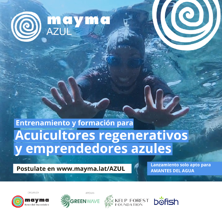 Mayma Azul Flyer Lanzamiento.png