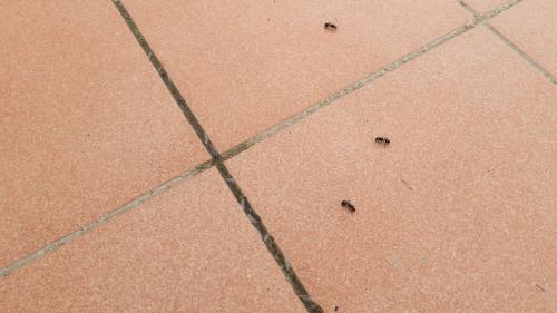 Reto visual Reto visual