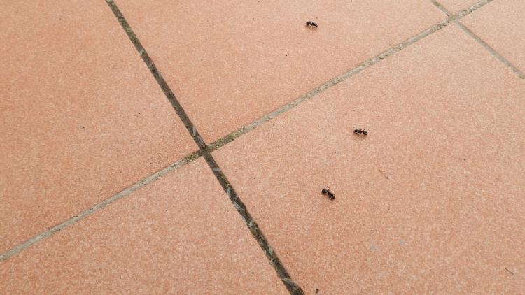 Reto visual Reto visual