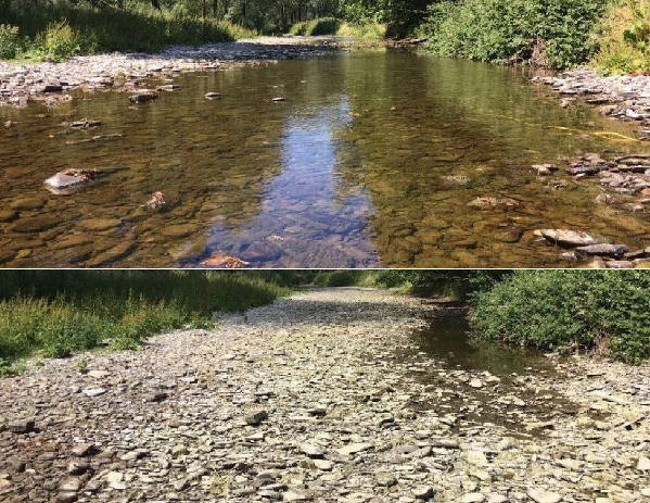El antes y el después del Río Teme por una ola de calor