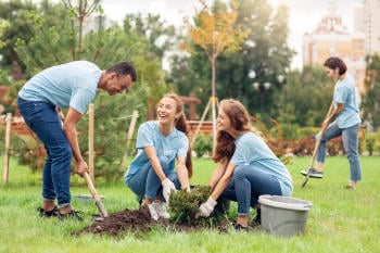 AdobeStock_299705711(1) AdobeStock_299705711(1)