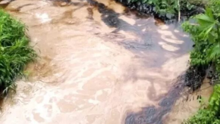 petróleo derramado Son 700 familias las afectadas por ambos derrames en la región Amazonas.