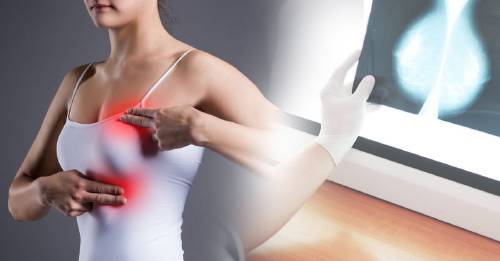 cancer mamá celulas grasa cancer mamá celulas grasa