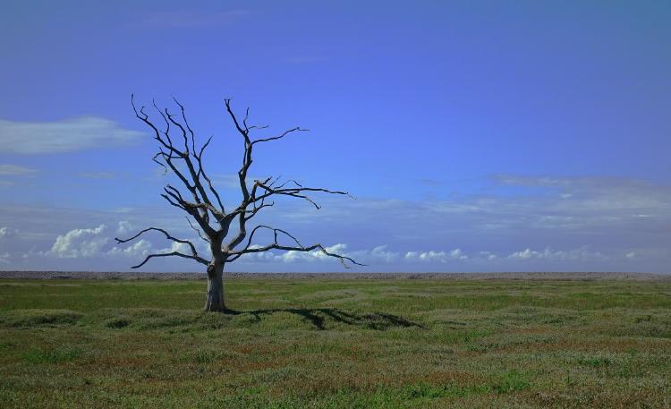 Cambio climático en Argentina en el 2020: Consecuencias