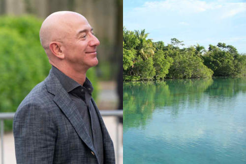 jeff bezos jeff bezos