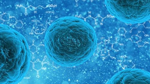 Oxford alerta sobre posibles nuevos contagios de animales a humanos