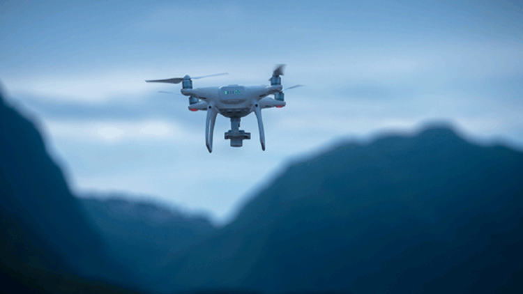 dron La fusión de innovación tecnológica y participación comunitaria transformó los programas de reforestación en una herramienta poderosa