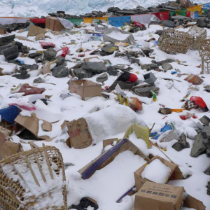 site3 300x300 site3 300x300