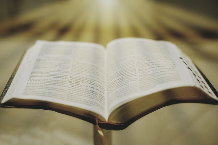 san rafael san rafael