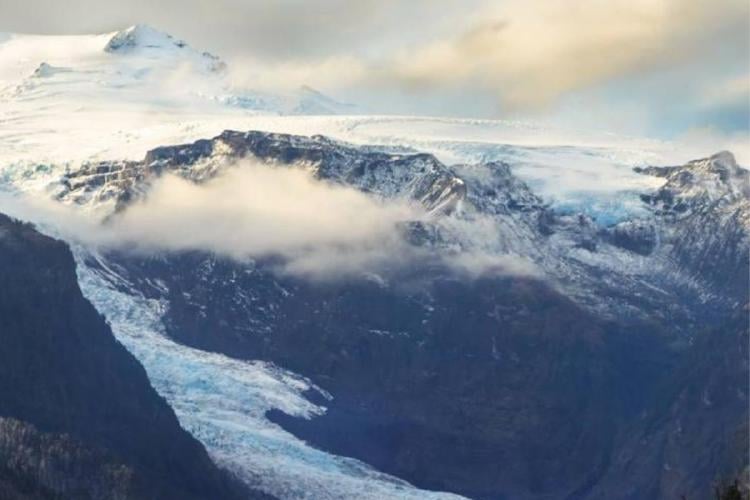 Bosque templado Bosque templado