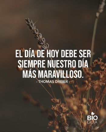 Frases para web (3) Frases para web (3)