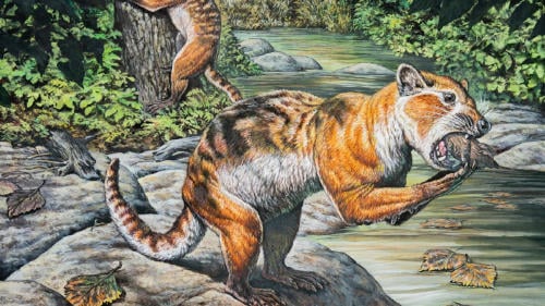 Eoactos vorax Eoactos vorax