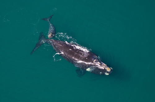 AdobeStock_295348625 AdobeStock_295348625