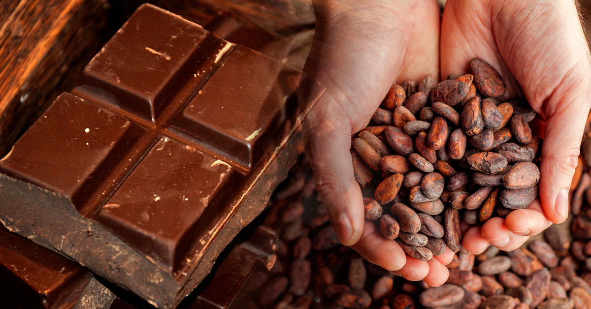 Шоколад есть всегда. Что будет если постоянно есть шоколад.