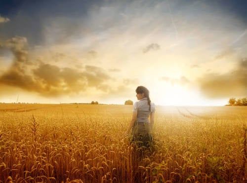 mujer campo trigo amanecer