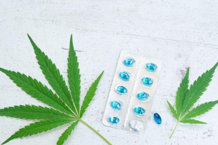 pildoras cannabis ¿Qué beneficios tienen?, ¿Están aprobadas?, ¿Son seguras? Todo lo que tenés que saber sobre esta tendencia que está creciendo en el mundo. (Imagen: br.freepik.com)