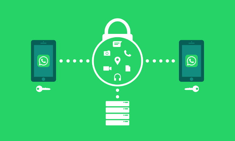 whatsapp messenger. whatsapp messenger.