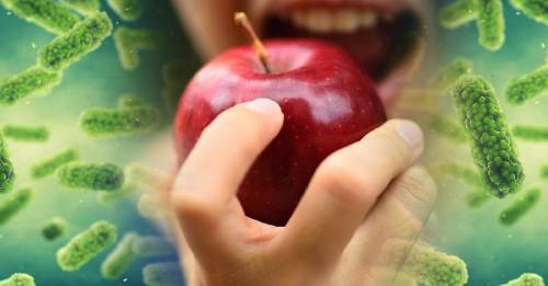 Si comes estas frutas puedes ser vulnerable a la salmonela. Entérate de cómo protegerte Si comes estas frutas puedes ser vulnerable a la salmonela. Entérate de cómo protegerte