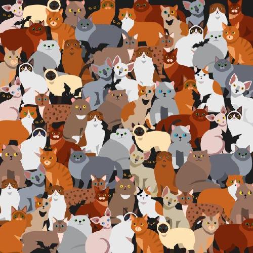 acertijo-gato1 acertijo-gato1