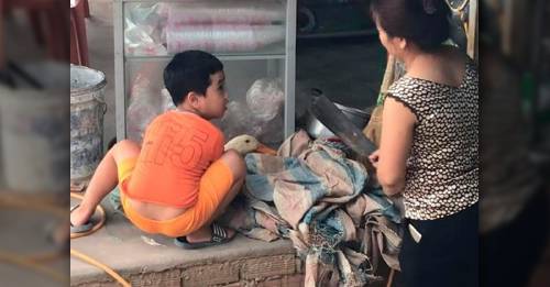 VIDEO: Su madre quería matar al pato para la cena, pero su pequeño niño hizo esto para salvar a su amigo