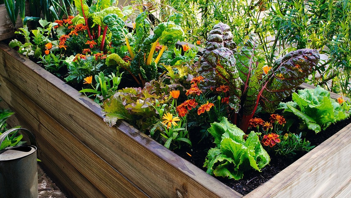 huerto en casa huerto en casa