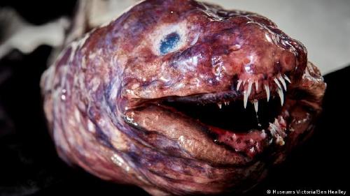 64098130_303 64098130_303