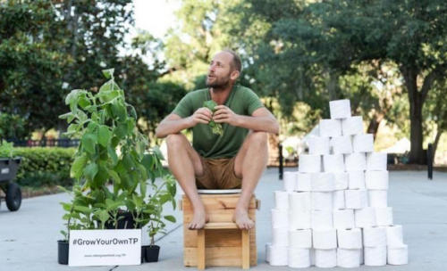 boldo papel boldo papel