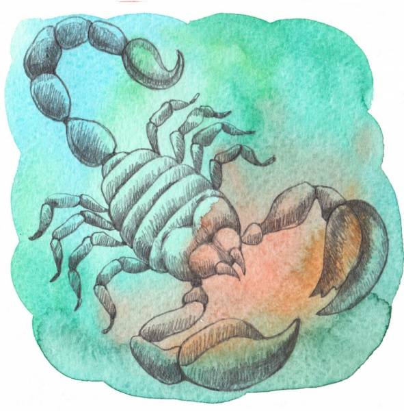 zodíaco Escorpio El signo del zodíaco Escorpio