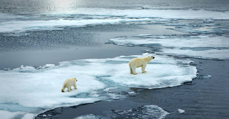 mitos cambio climatico