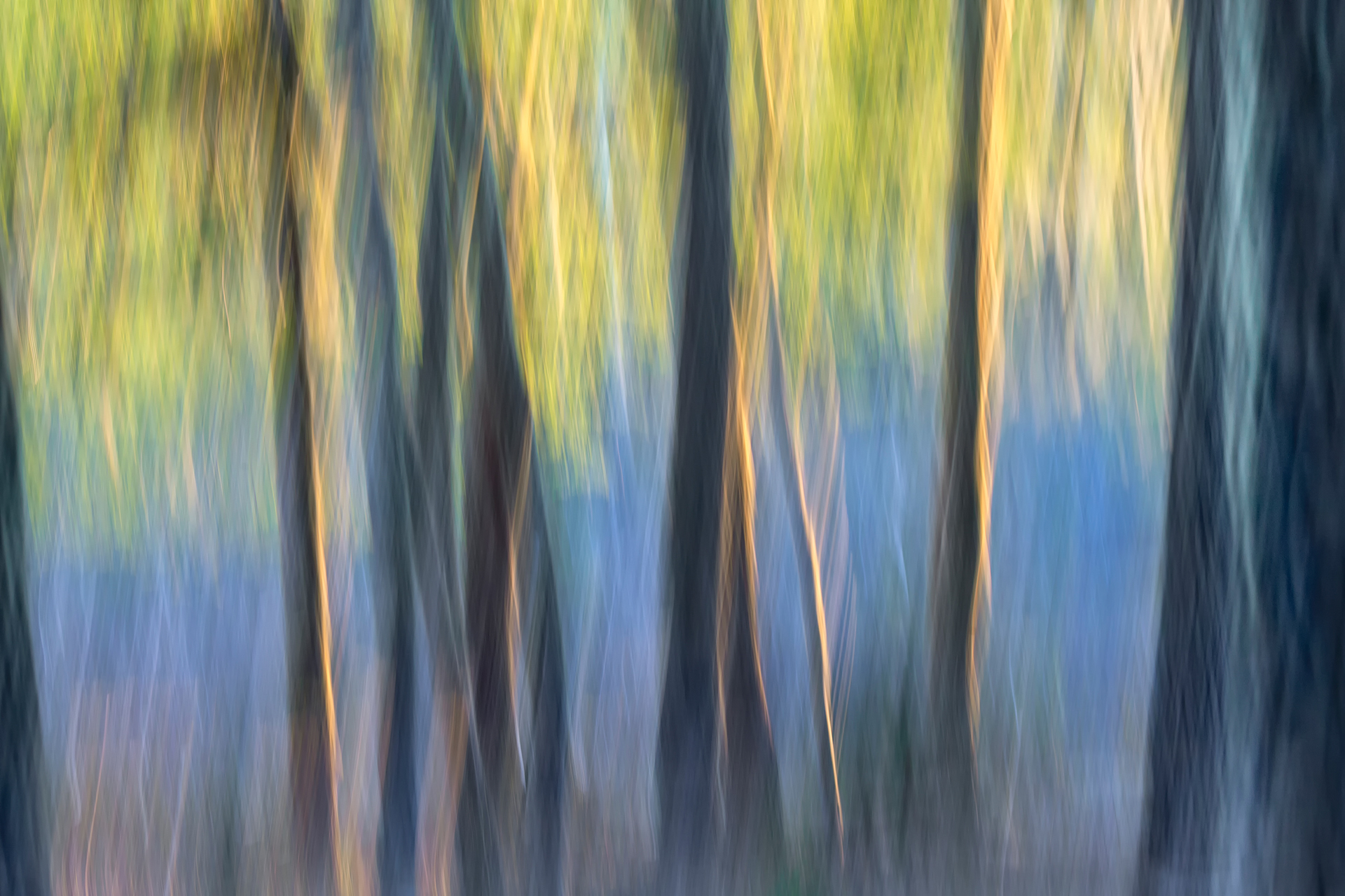 Podesta_D_ (11) Podesta_D_ (11)