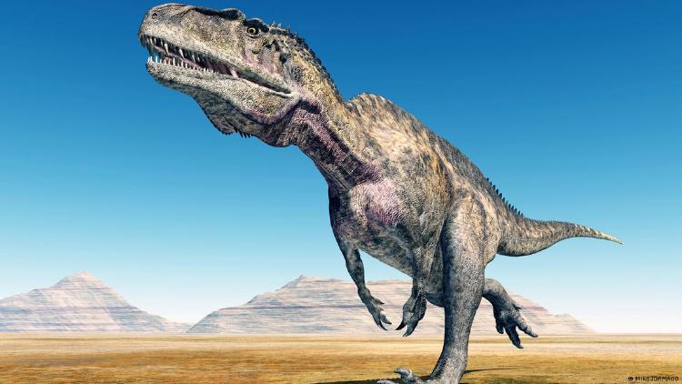 62920789_906 62920789_906