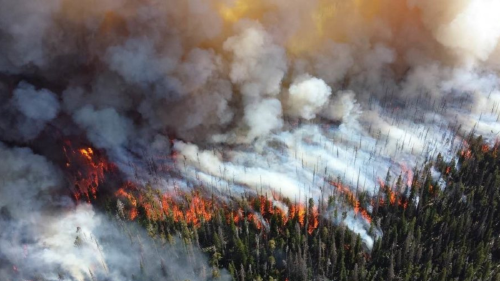 fuego patagonia Infierno en la Patagonia: el fuego avanza sin cesar.