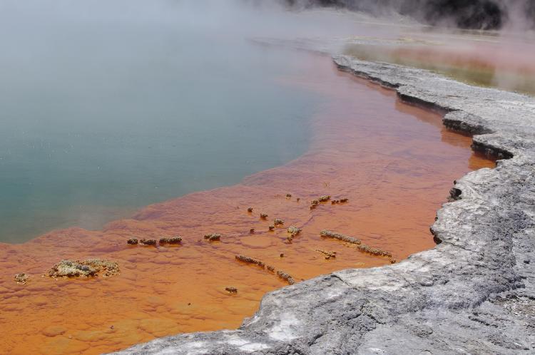 Contaminación atmosférica Contaminación atmosférica: ¿Qué es? Tipos y causas