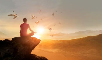 zen zen