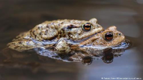 67112616_303 67112616_303