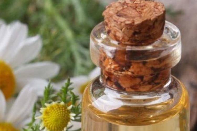 aceite Imagen: Pinterest