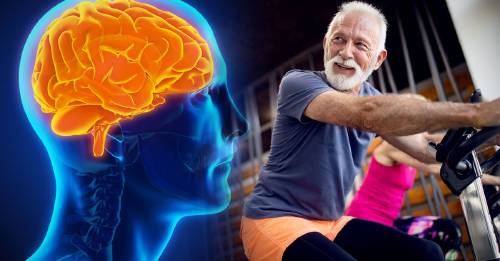 Adultos que se ejercitan más pueden proteger su cerebro de la demencia