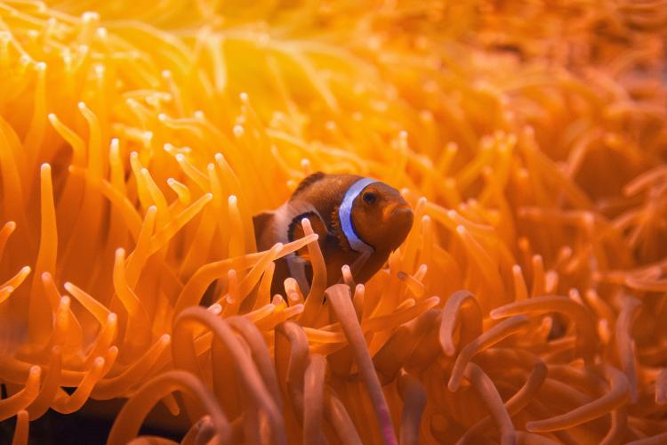 datos curiosos y graciosos datos curiosos y graciosos