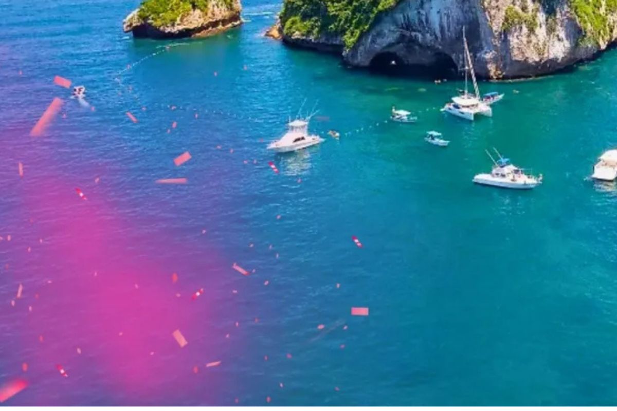 Una revelación de género volvió a evidenciar cómo los gestos virales pueden tener consecuencias reales: contaminaron el mar en Puerto Vallarta para lograr una foto “perfecta”. (ecoosfera)