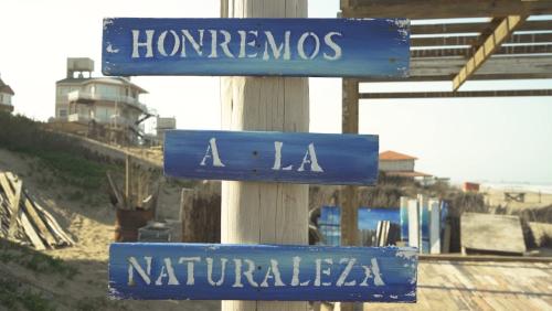 despertologo despertologo