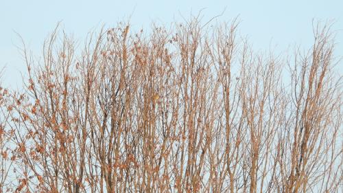 Reto visual Reto visual