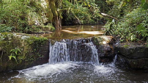 66648526_1004 66648526_1004