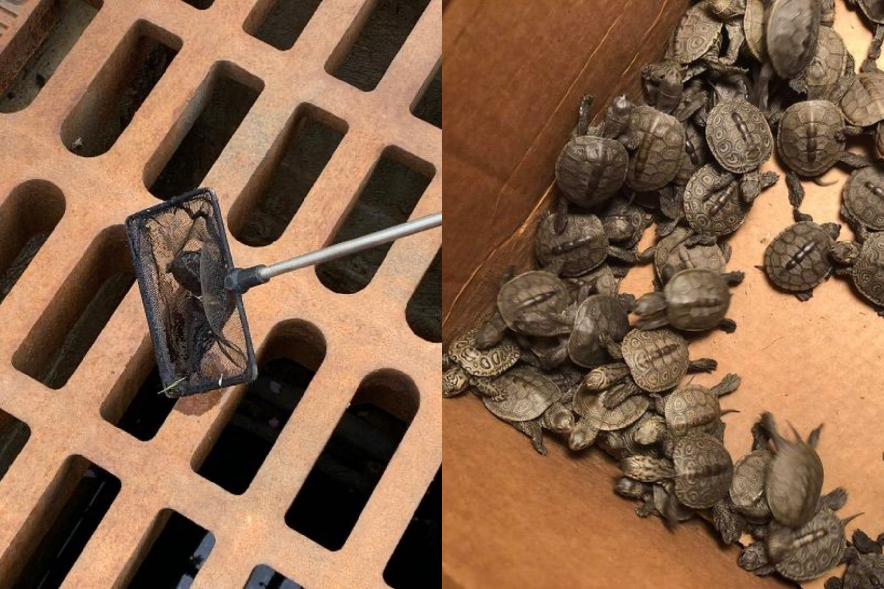 FotoJet (9) FotoJet (9)